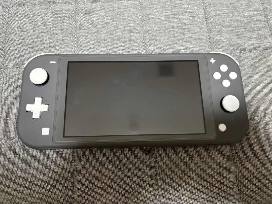 【動作確認済/美品】Nintendo Switch Lite グレー　本体