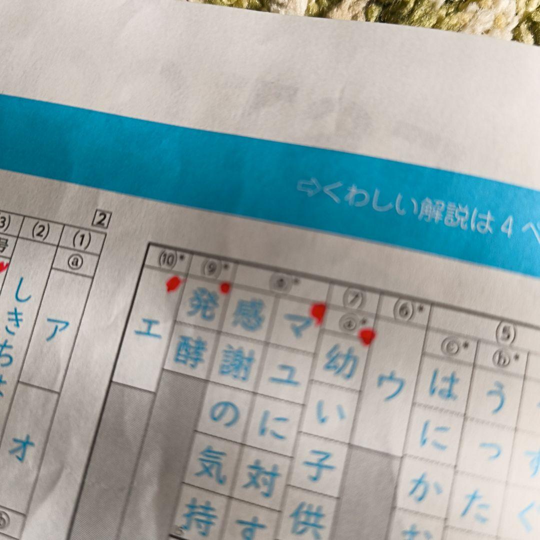 2022年　小6 五ツ木　駸々堂模試1回〜6回、特別回