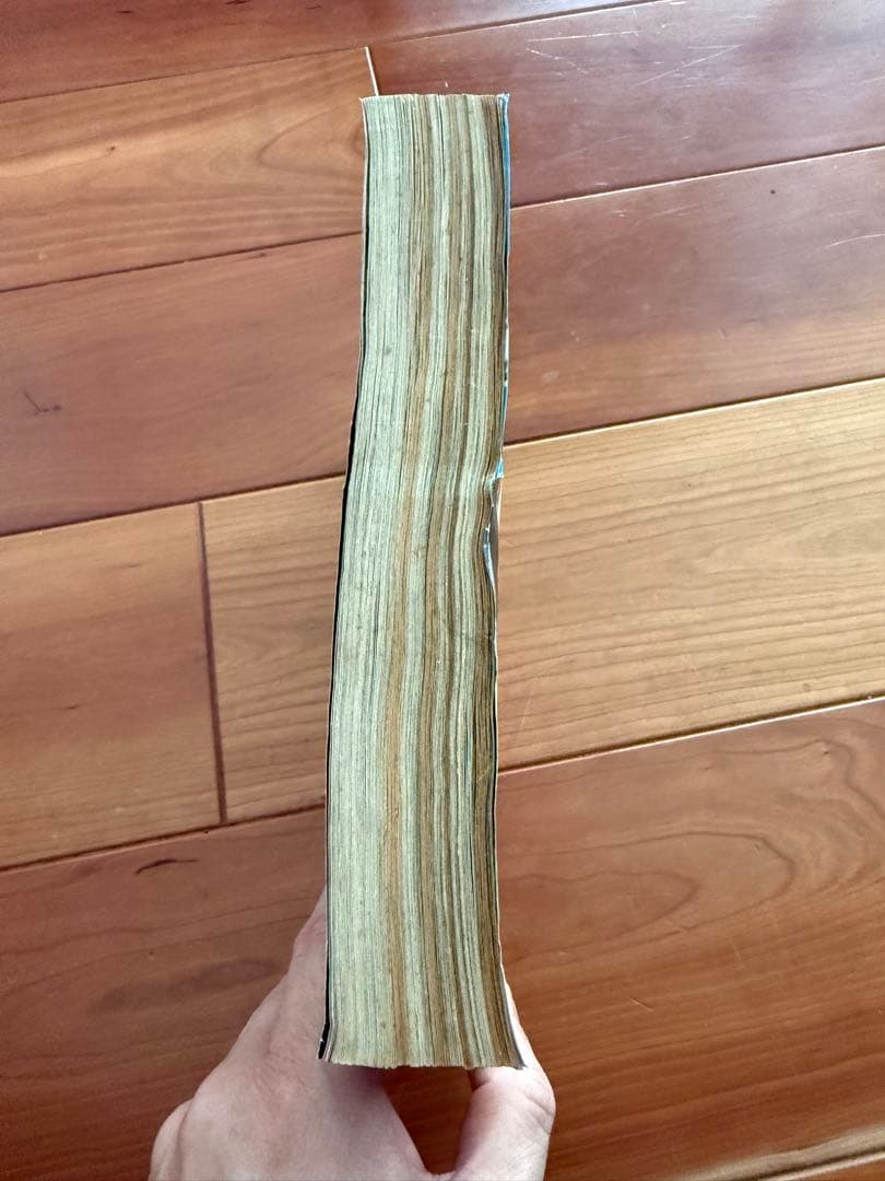 週刊少年ジャンプ　ＯＮＥ ＰＩＥＣＥ 1999年　45号