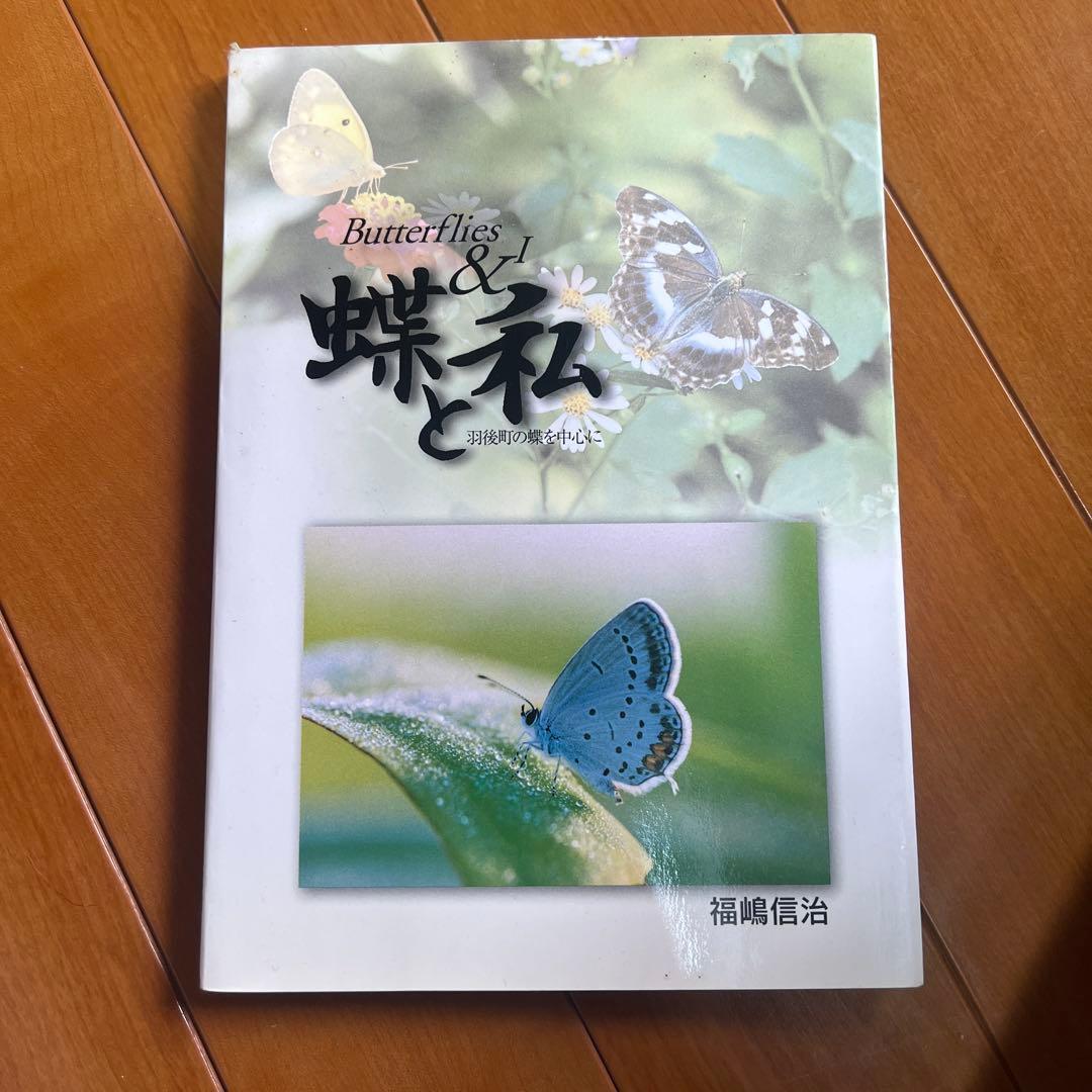 Butterflies & 蝶と私 福嶋信治