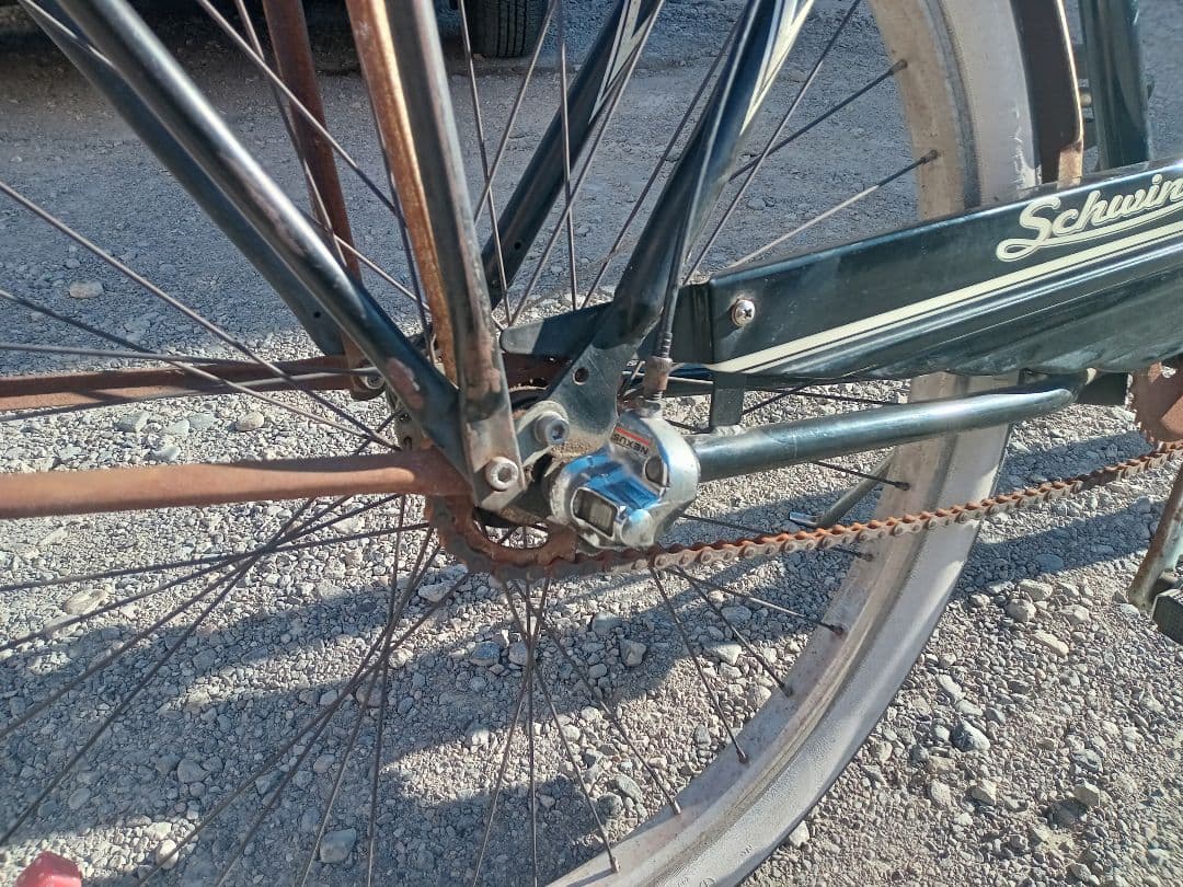 Schwinn cruiser SS Custom シュウイン