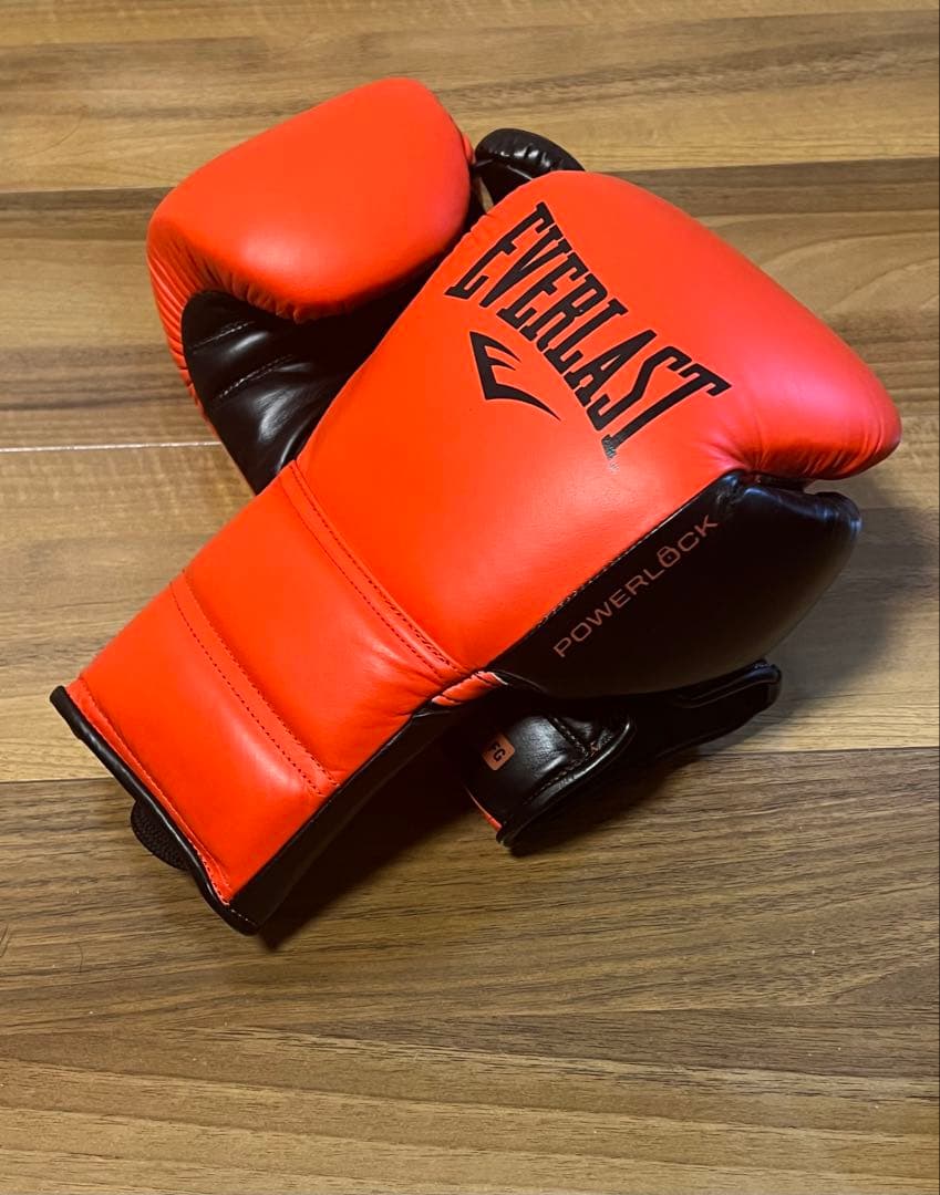 エバーラストパワーロック2プロファイトグローブ