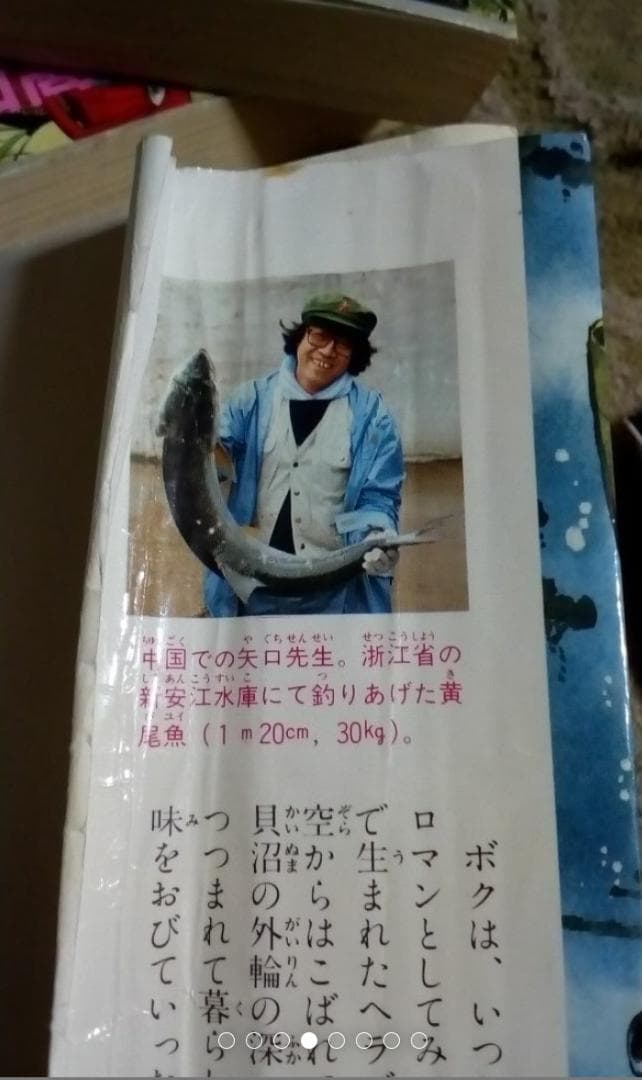 釣りキチ三平大判2~6と9~11と13~15.18.21.24.25と29~35