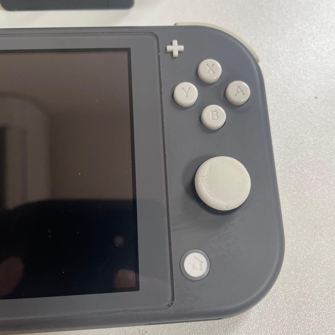 Switchライトグレー