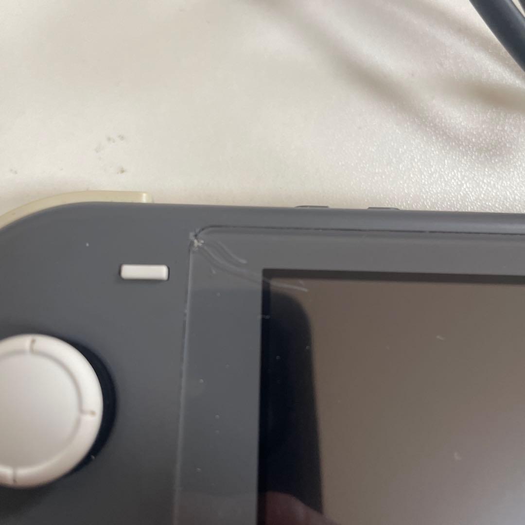 Switchライトグレー