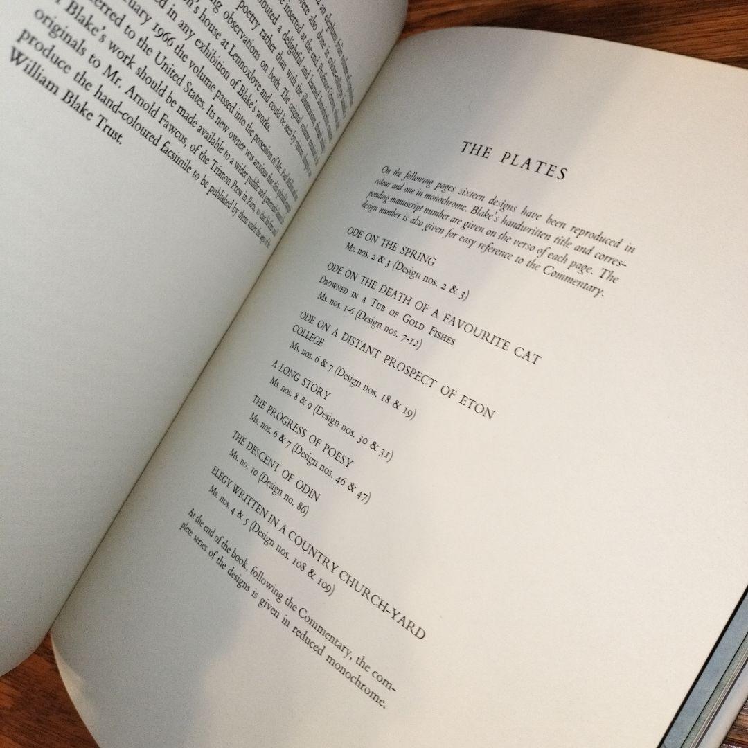 ウィリアム・ブレイク 水彩画 グレイの詩集