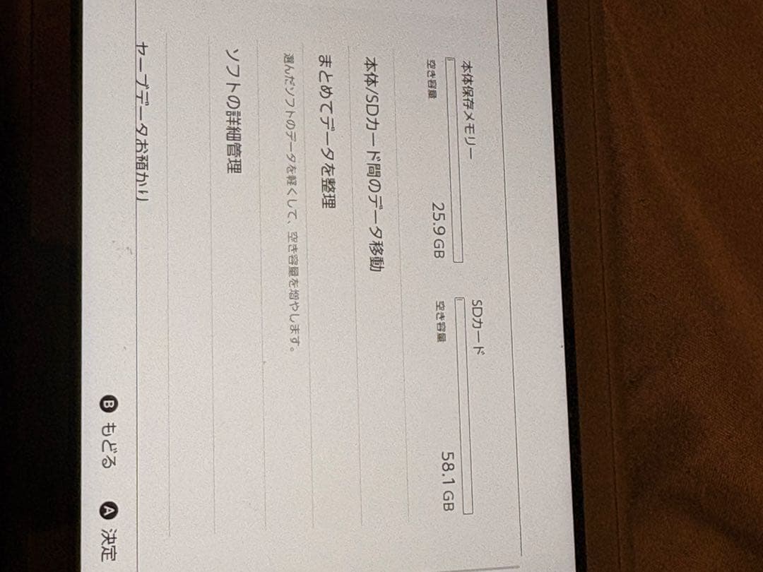 Nintendo Switch Lite グレー SDカードオマケします！