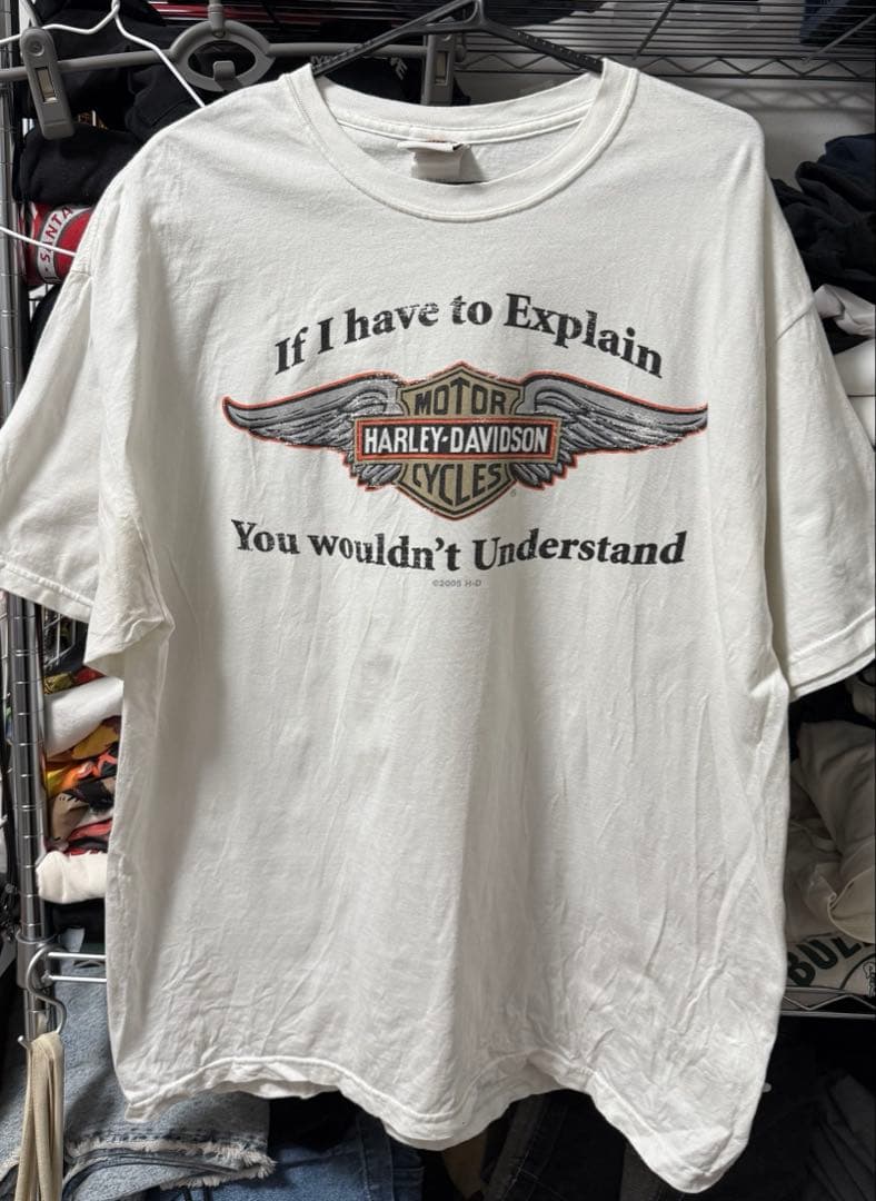 00s USA製 Harley-Davidson ハーレーフレイムT