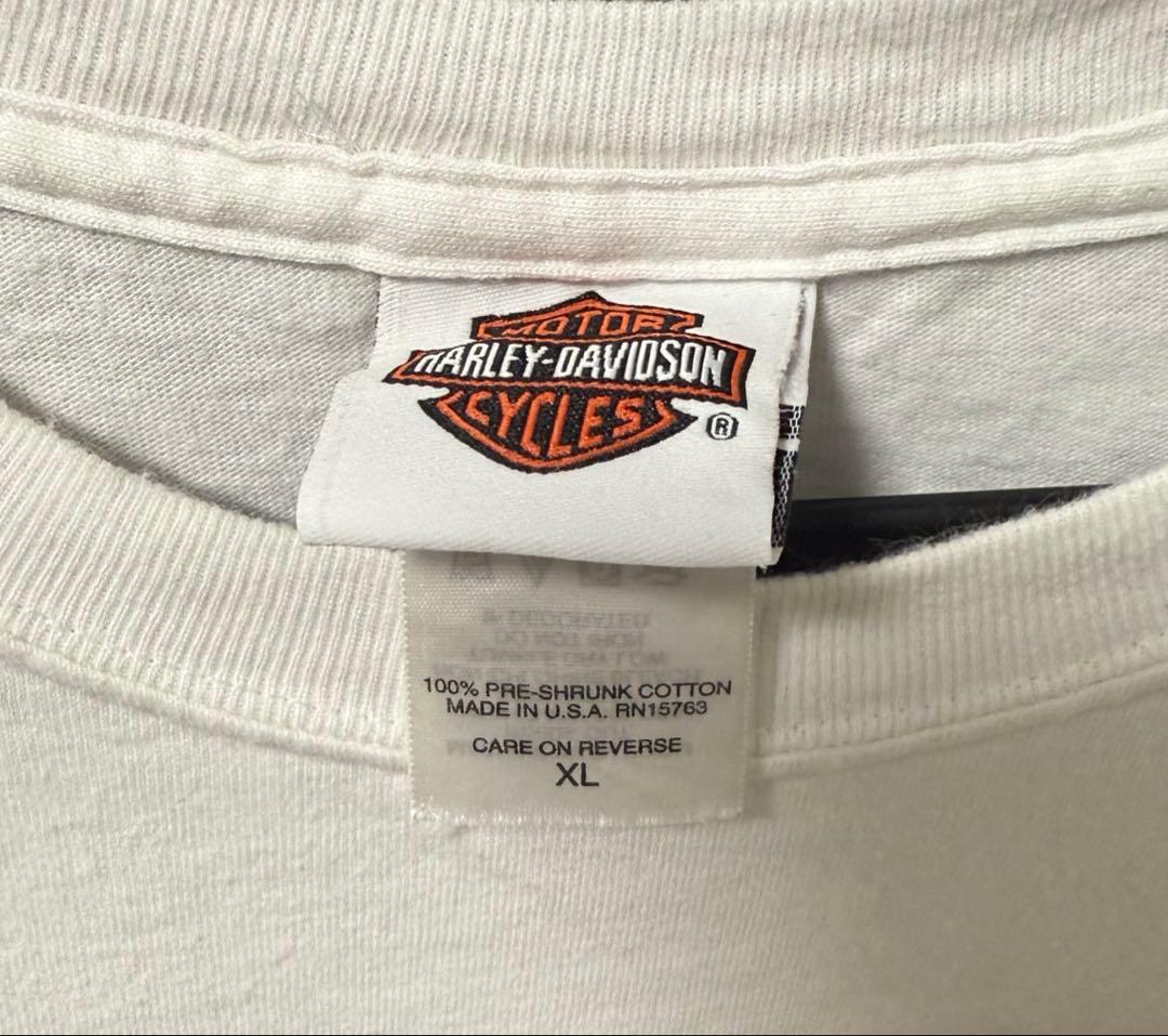 00s USA製 Harley-Davidson ハーレーフレイムT