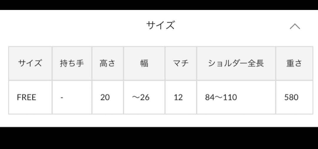 ear PAPILONNER 牛革バックルショルダーバック2way