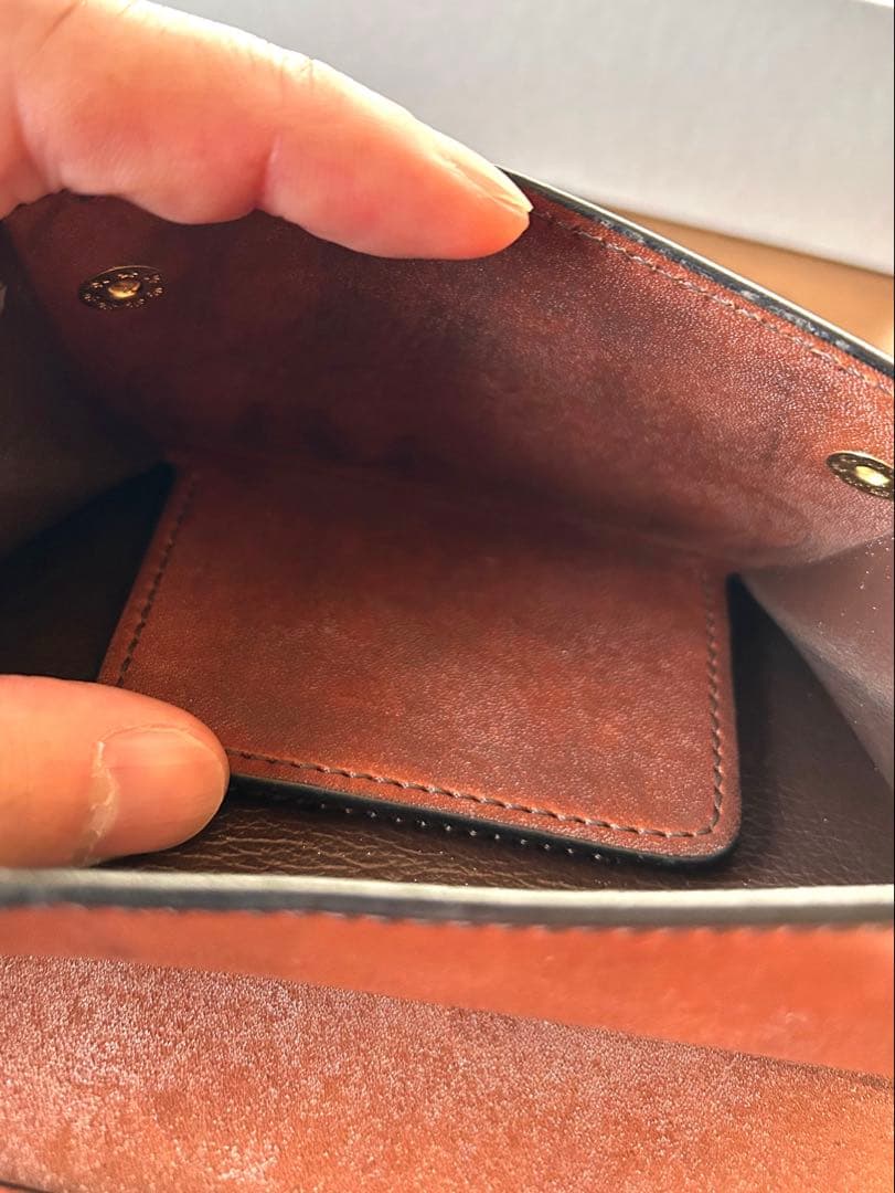 【1/10限定価格】ワイルドスワンズ　バーン