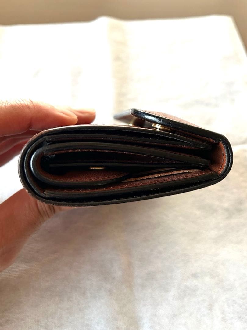 【1/10限定価格】ワイルドスワンズ　バーン