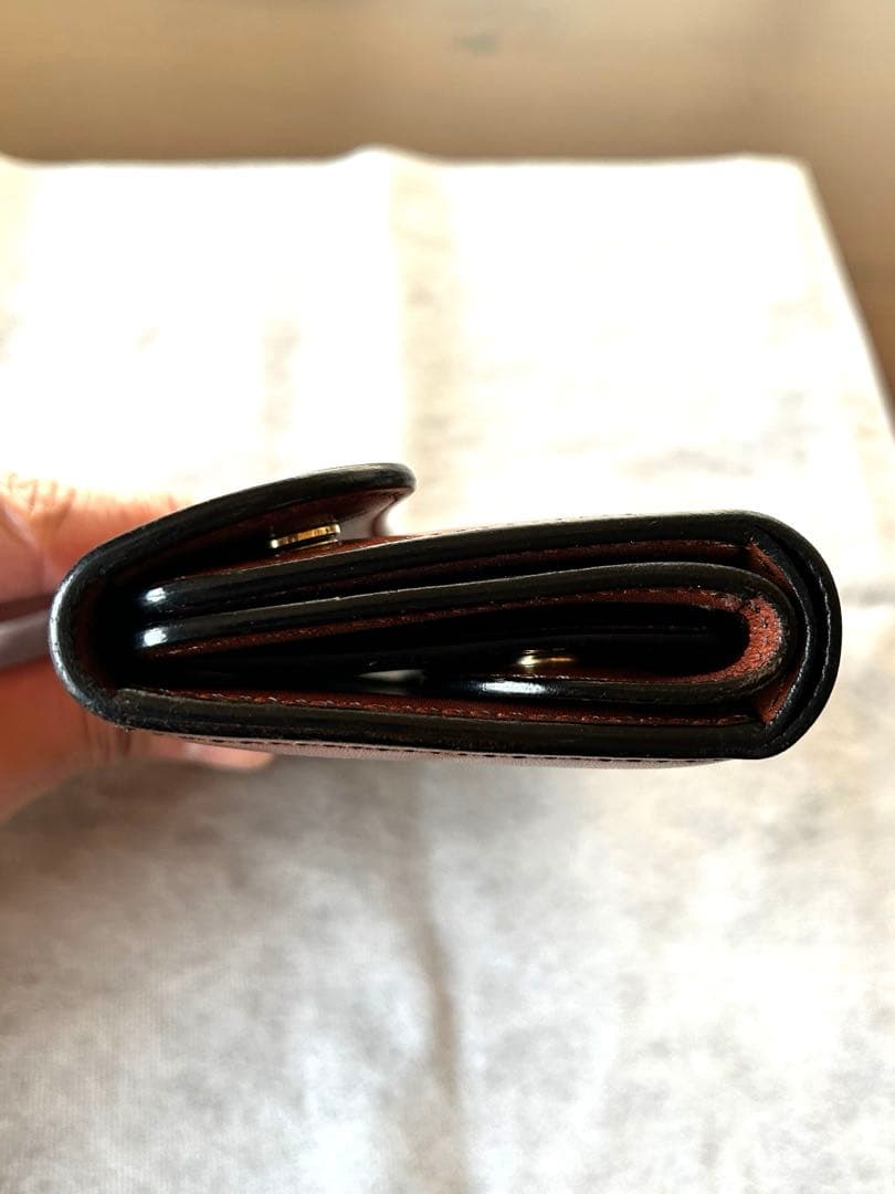 【1/10限定価格】ワイルドスワンズ　バーン