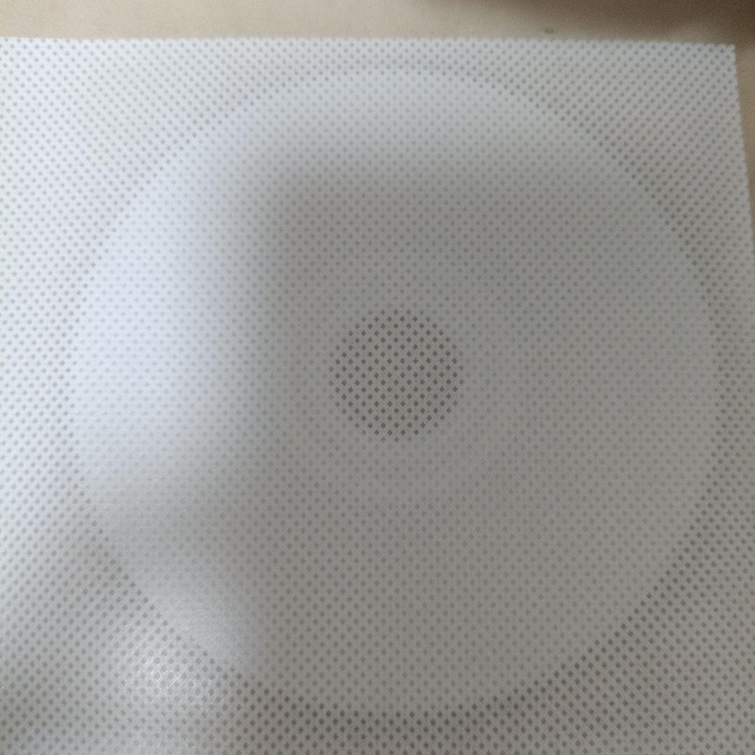 P-MODEL 平沢進　太陽系亞種音 太陽系亜種音 バラ ディスク6