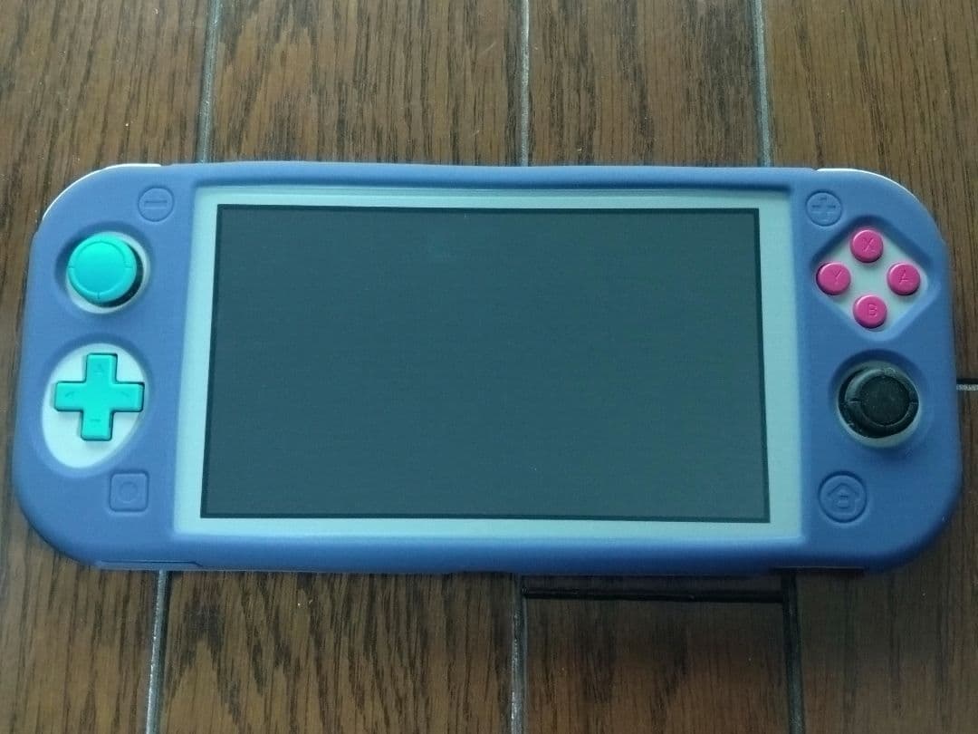 Nintendo Switch Liteグレー 本体動作問題ありません不具合無し