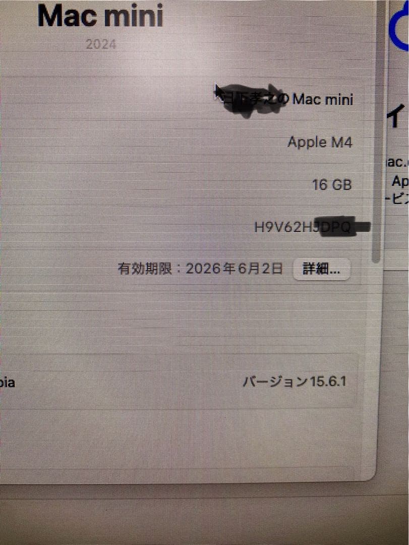 Apple Mac mini m4（MU9D3J/A）