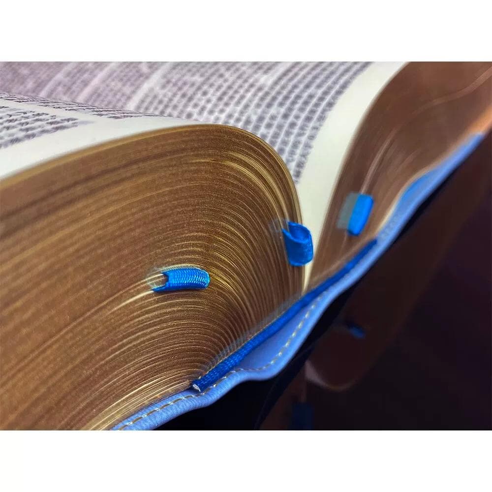 豪華特製装丁『辞海』 圧倒的情報量の百科事典 記念版 3488頁 中国語簡体字版