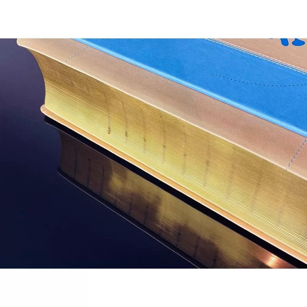 豪華特製装丁『辞海』 圧倒的情報量の百科事典 記念版 3488頁 中国語簡体字版