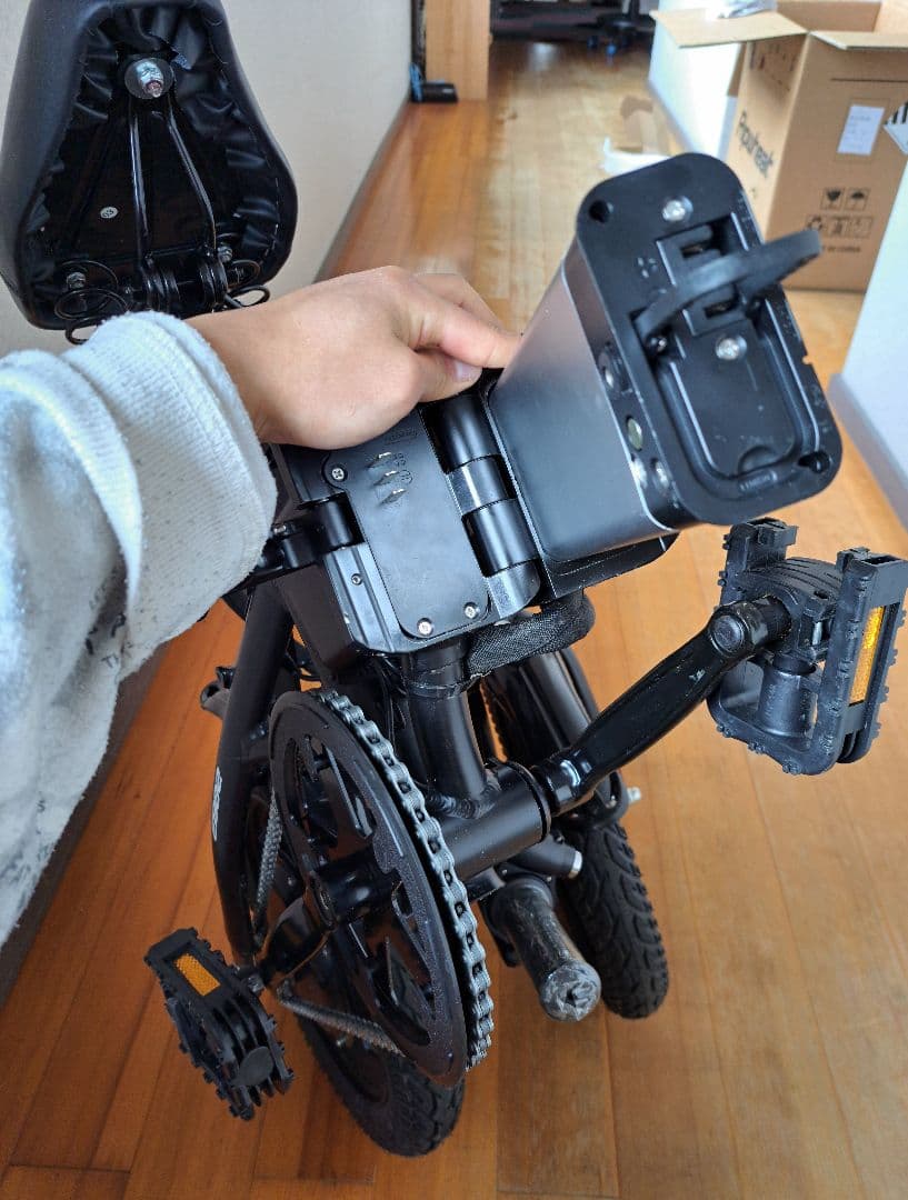 Ripwheat 電動アシスト自転車 ブラック