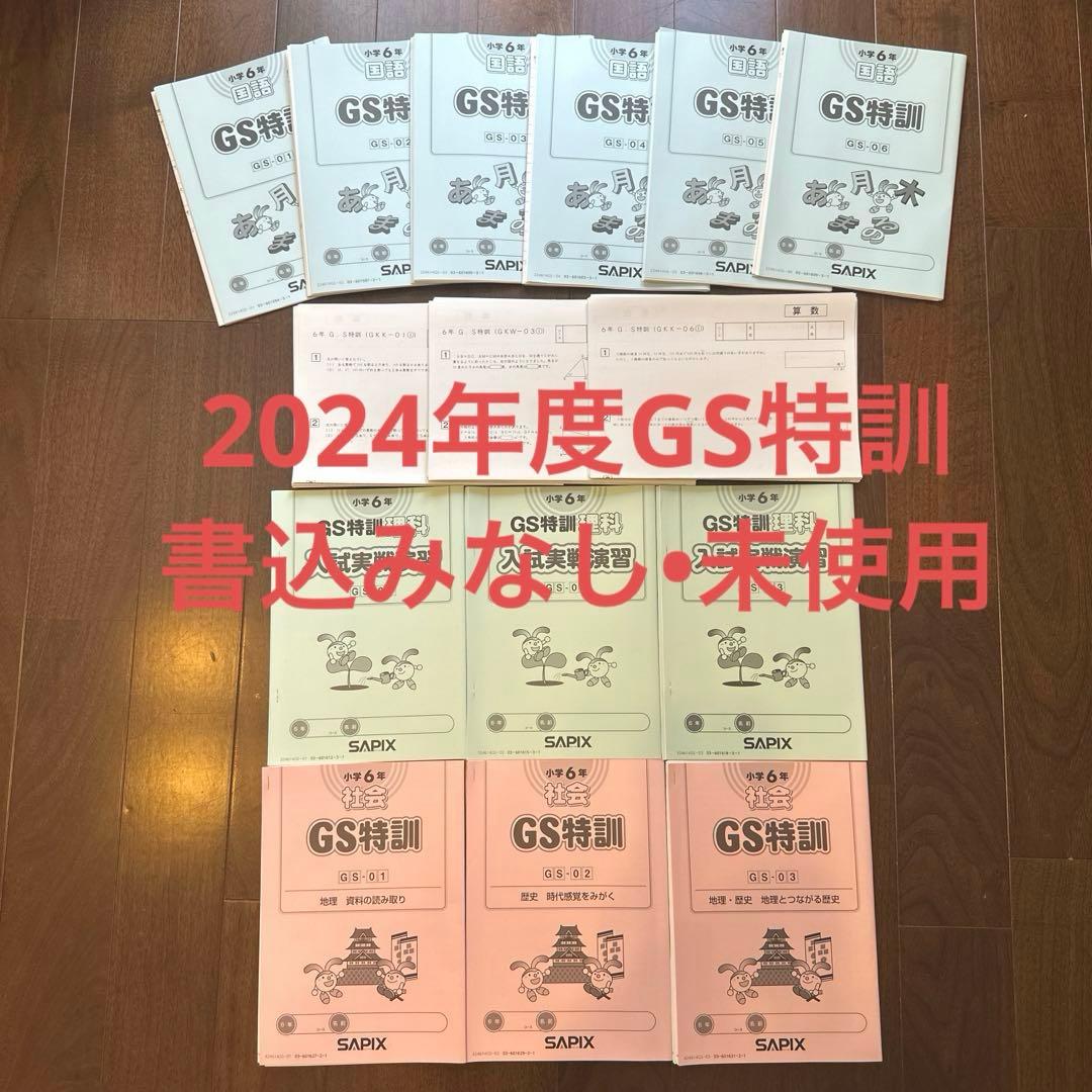 【書込みなし】SAPIX サピックス　ゴールデンウィーク　GS特訓　2024年度