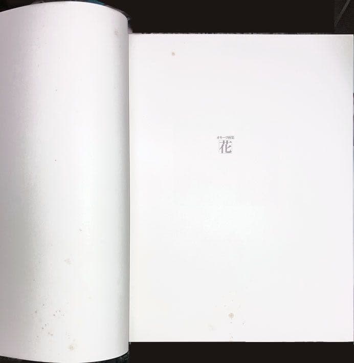 ジョージア・オキーフ画集