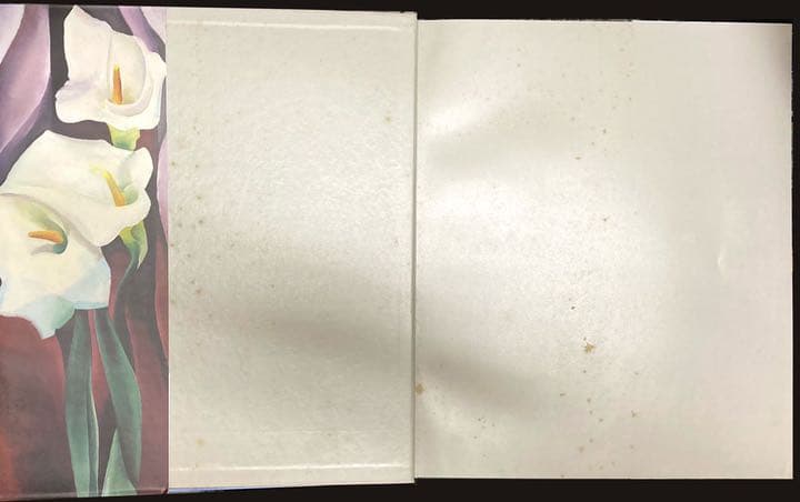 ジョージア・オキーフ画集