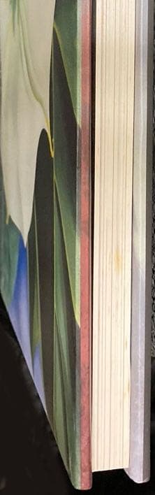 ジョージア・オキーフ画集