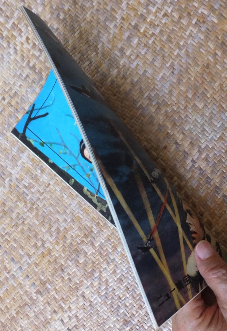 映画パンフレット「戦う翼」　ニュー東宝　スティーヴ・マックイーン