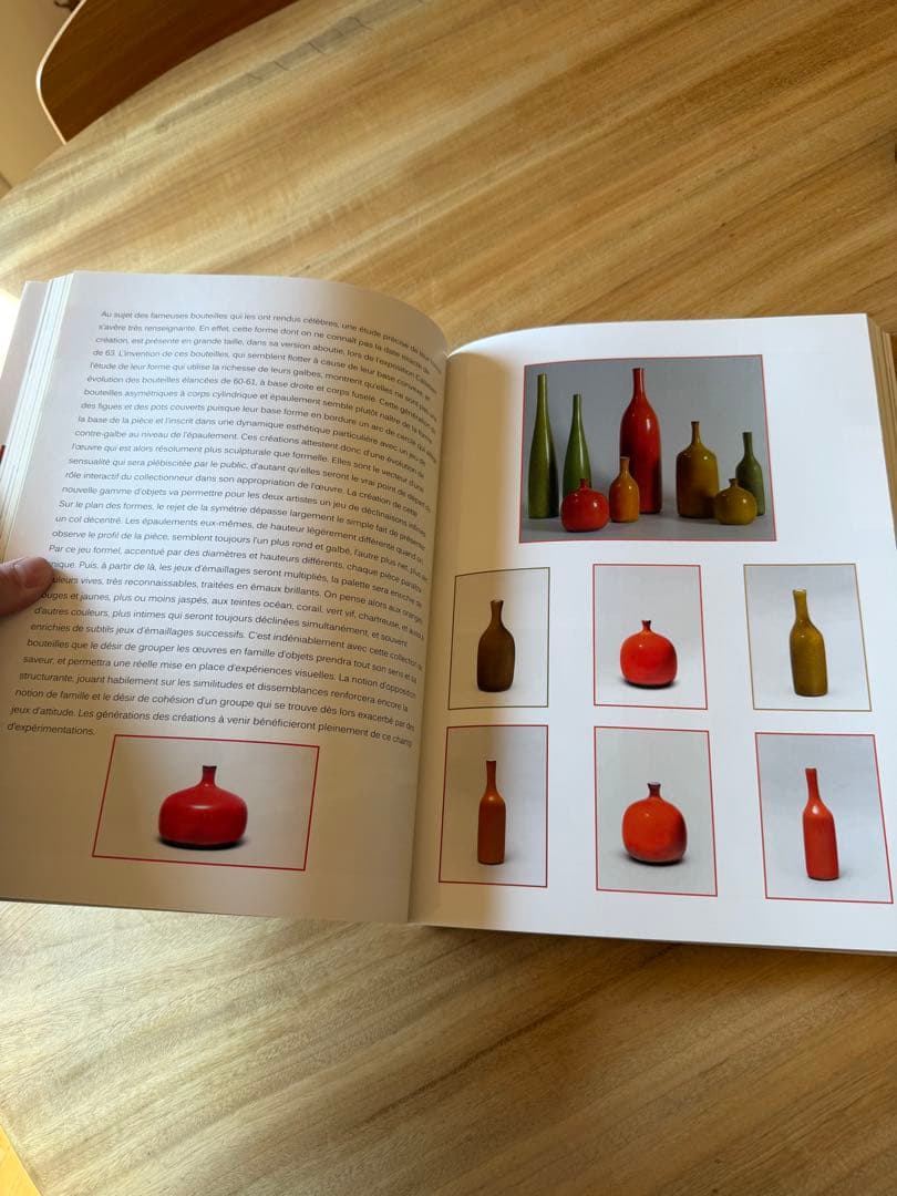 Jacques & Dani Ruelland リュエラン 本 洋書