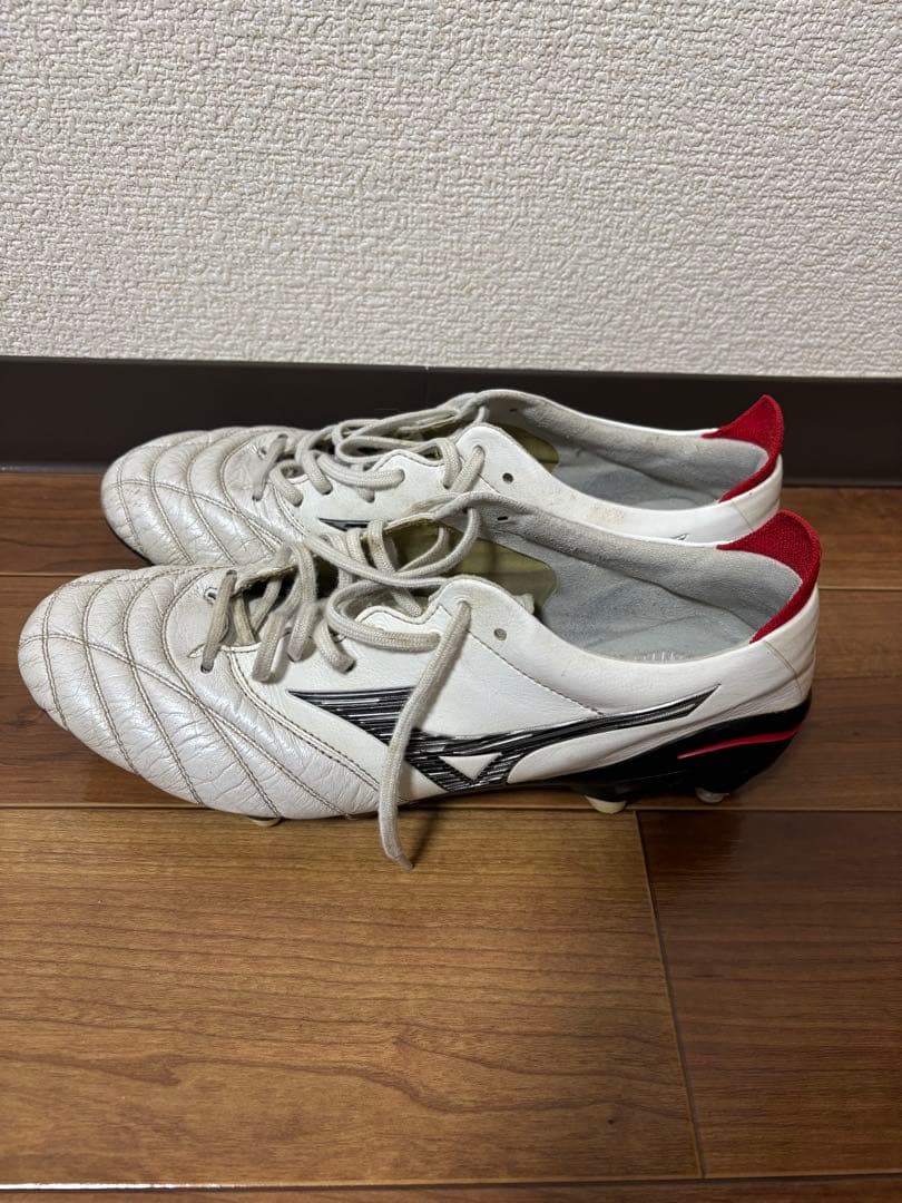 モレリアネオ4 mix 25.5