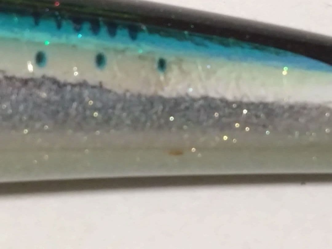 ⑨カーペンター　ブルーフィッシュ