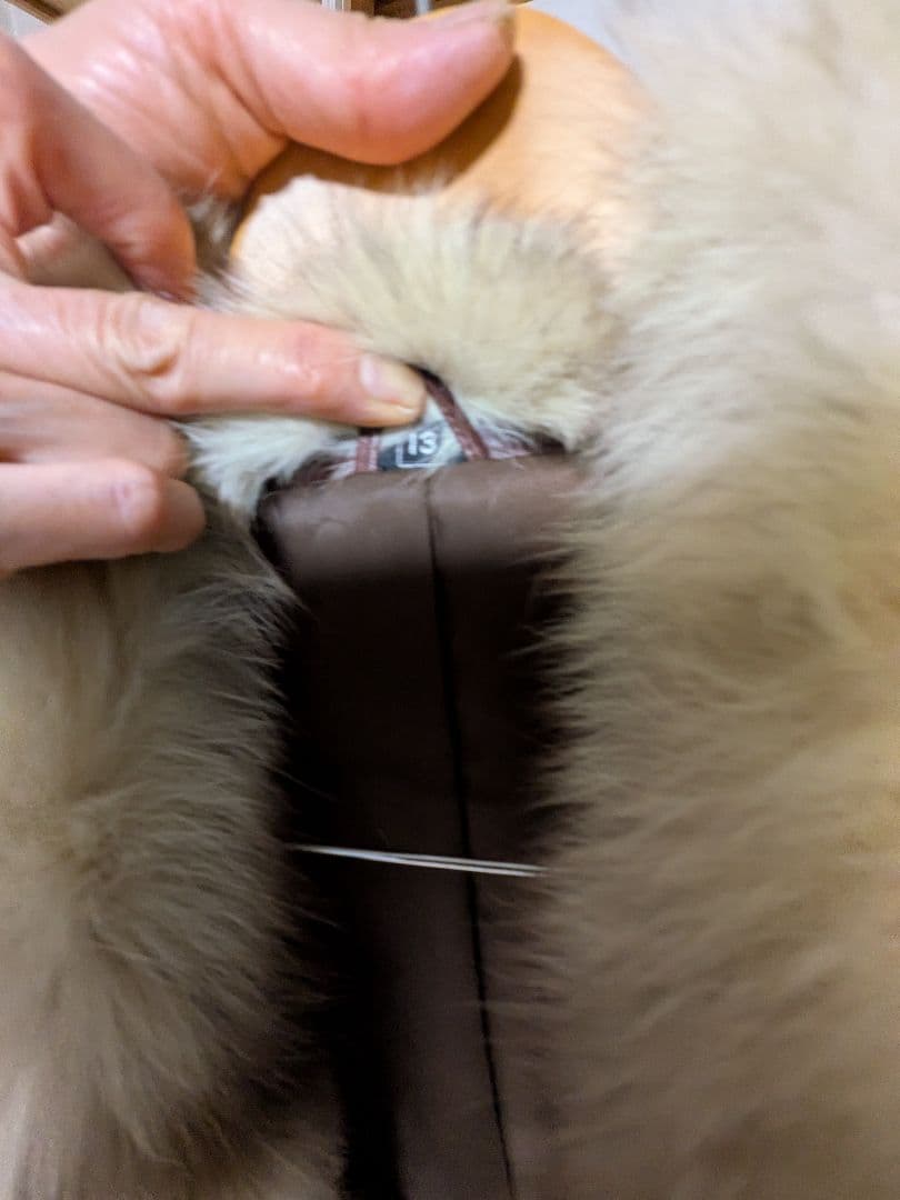 ​最高級Partina パルティナ 牛革 ロングレザーコート ファー付 Aライン