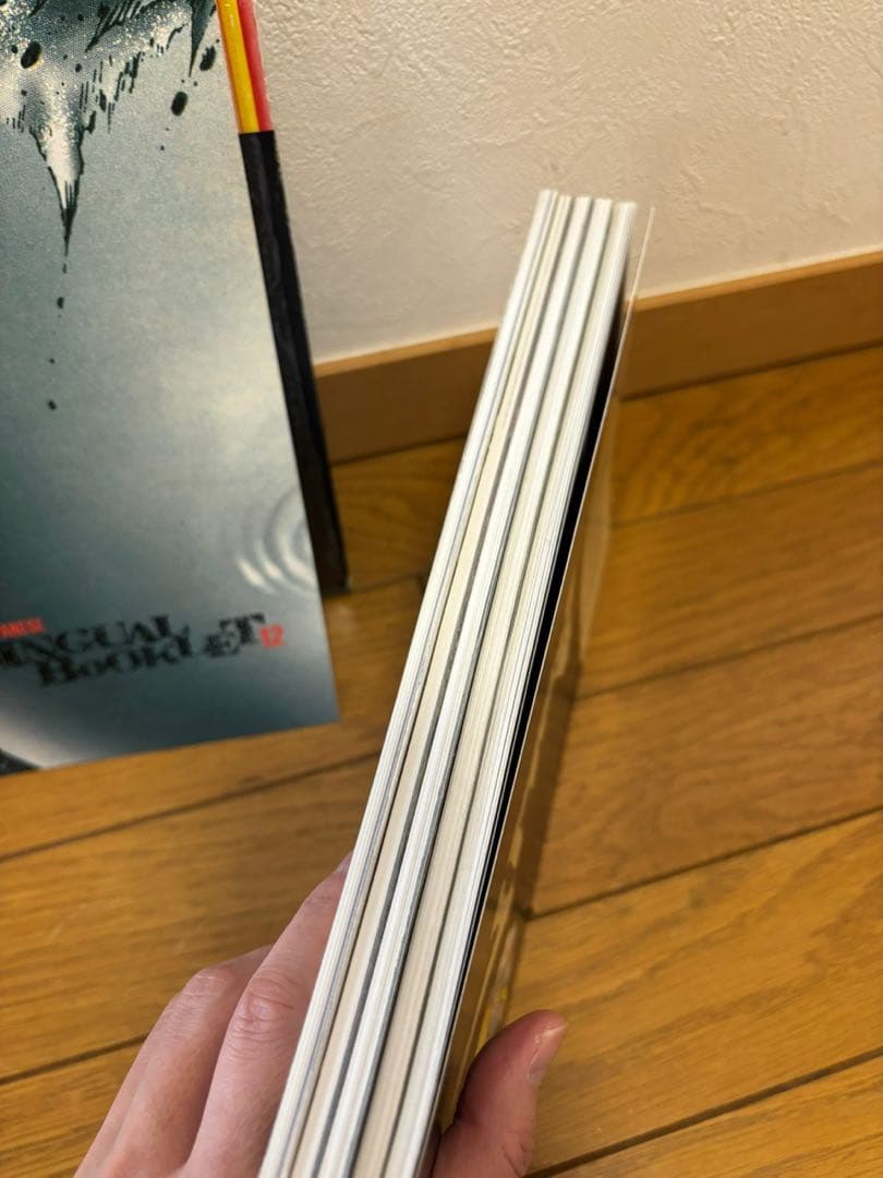 AKIRA アキラ 国際版 12（絶版）