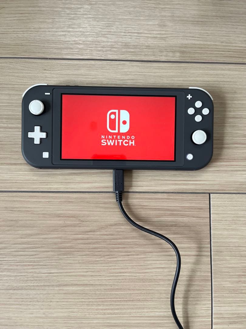 Switch Lite 本体 ケース付き