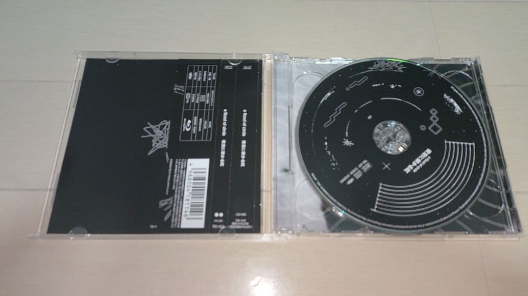 a flood of circle「夜空に架かる虹」テイチクオンライン限定盤