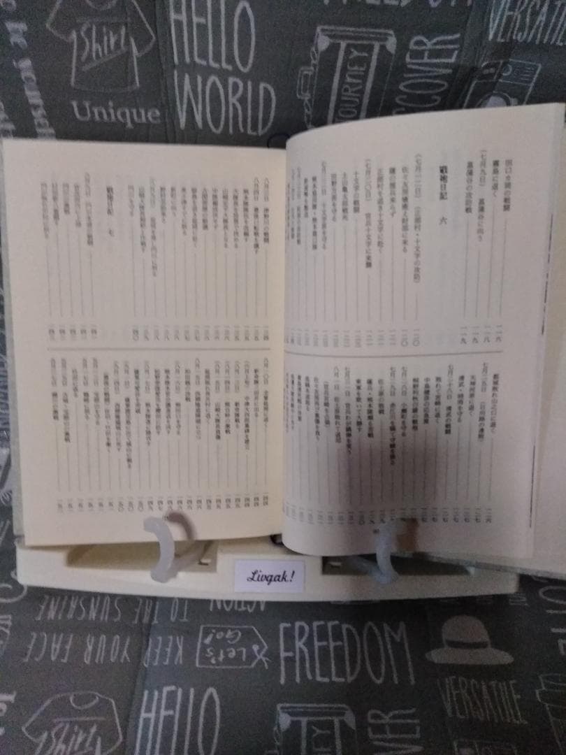 戦袍日記　全　西南戦争　西南の役　古閑俊雄