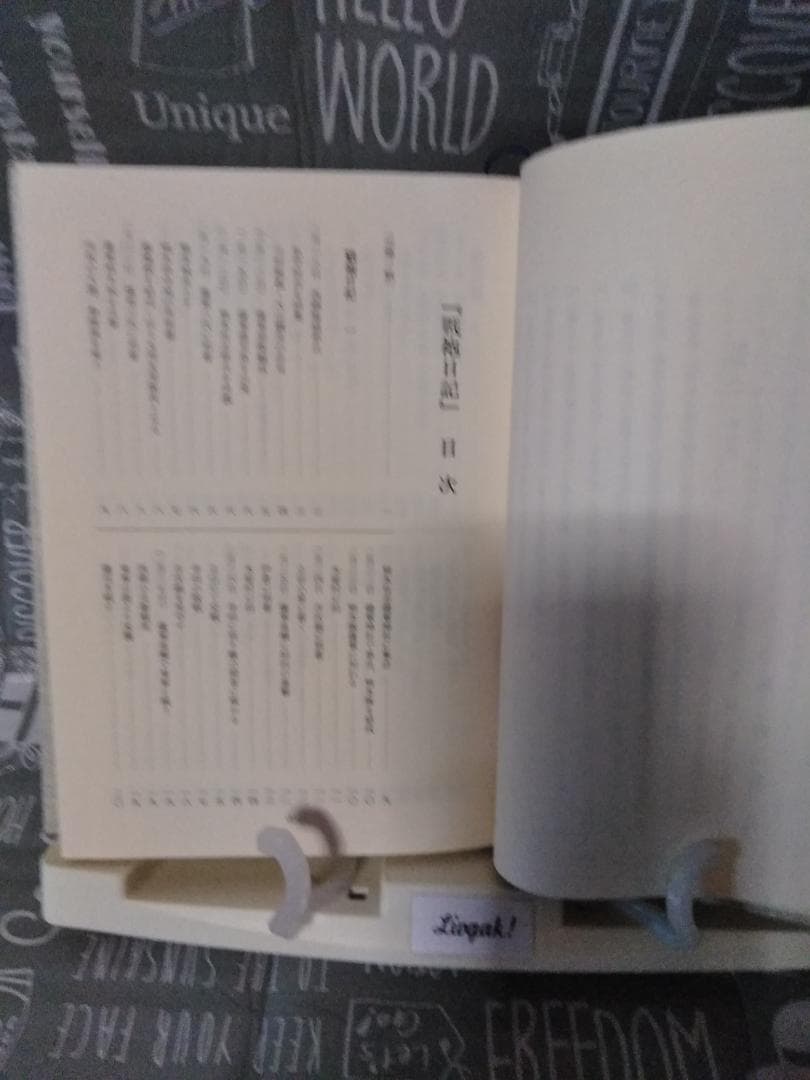 戦袍日記　全　西南戦争　西南の役　古閑俊雄