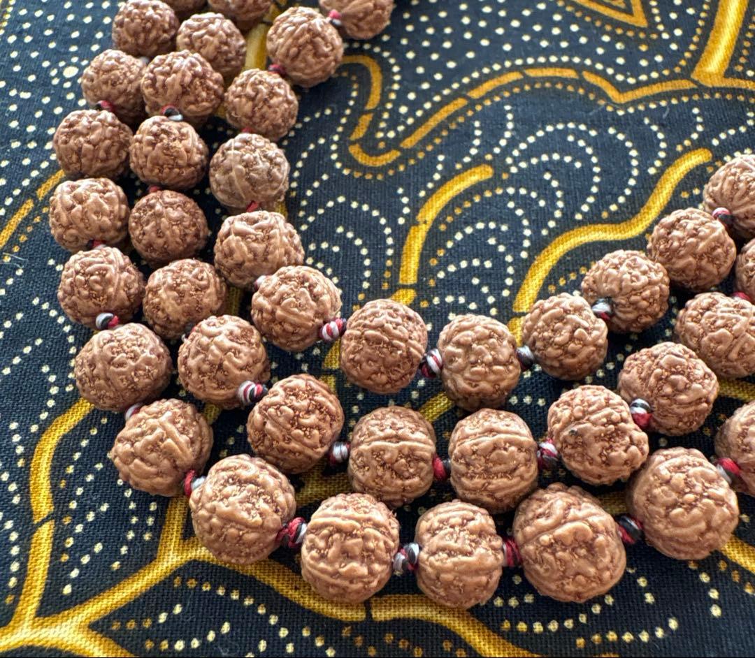 ねこのつかい ルドラクシャマーラー　トップガウリシャンカール