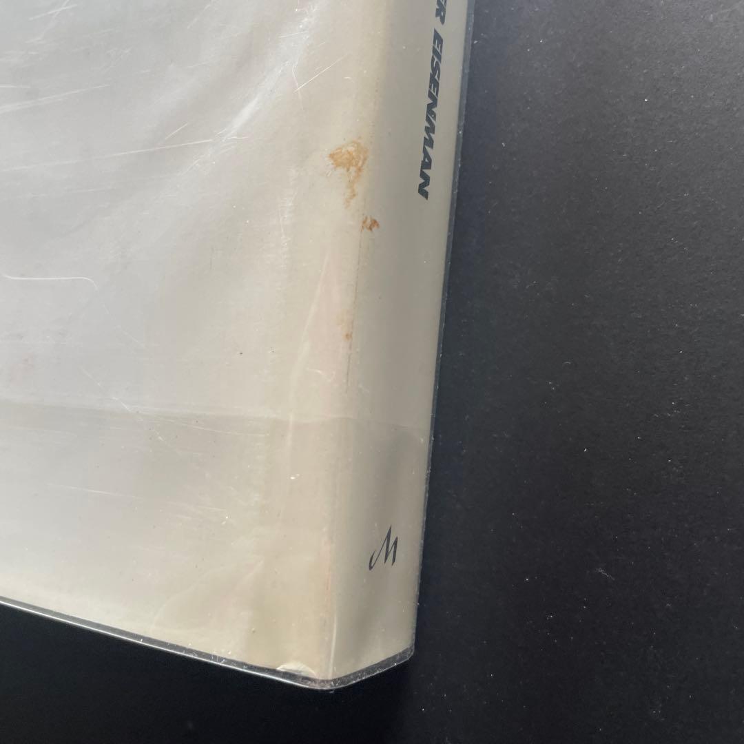 アート・デザイン・音楽 GiuseppeTerragniTransformations,critique