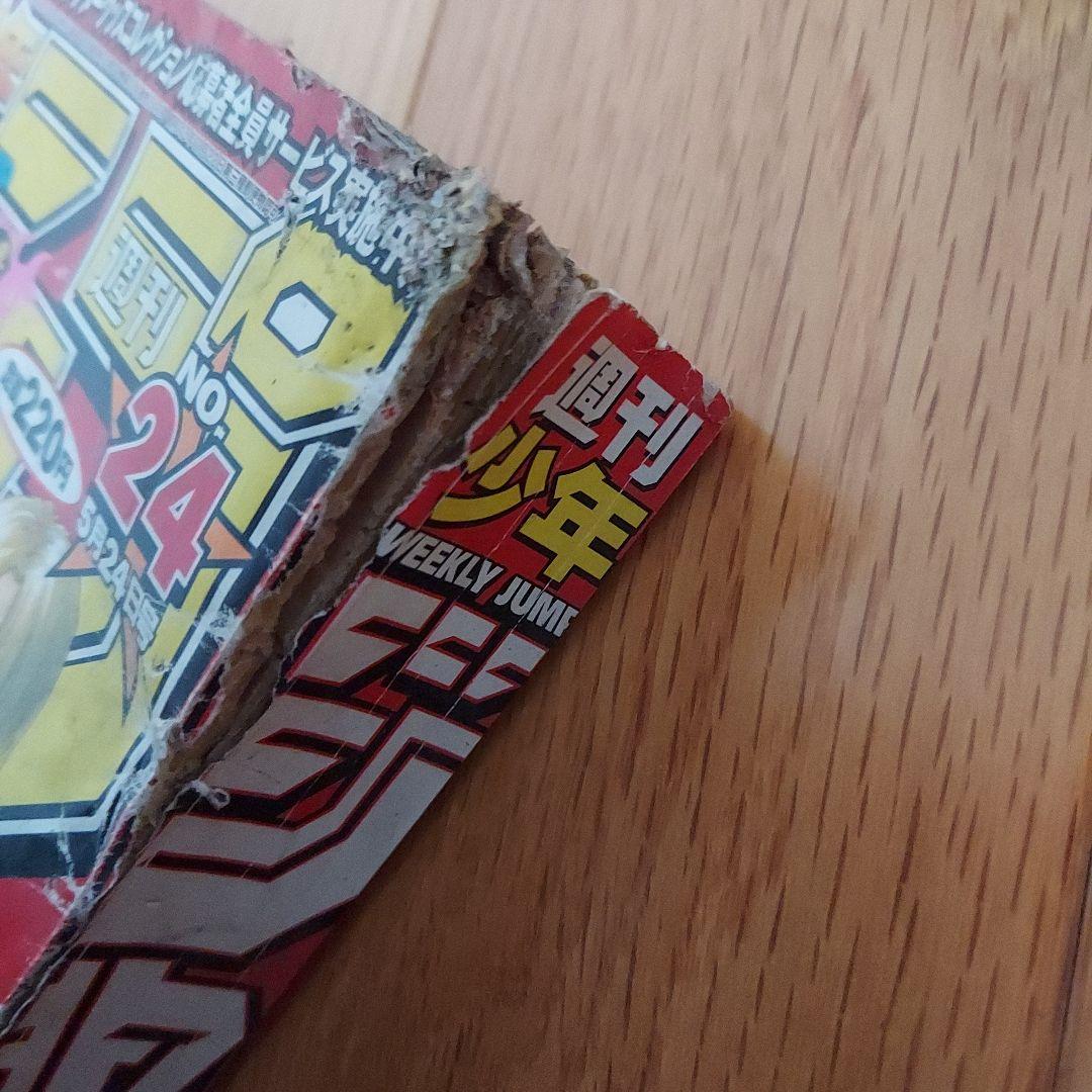 【週刊少年ジャンプ1999年24号】ワンピース　麦わらの一味