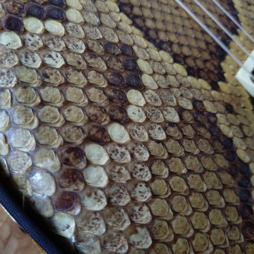 三線 本体 ヘビ皮製 バチ付き　ケース付き