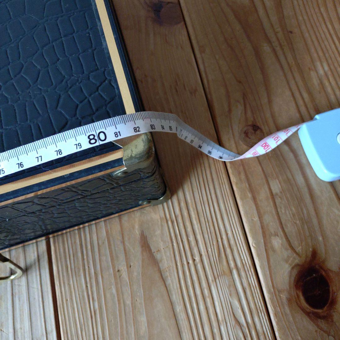 三線 本体 ヘビ皮製 バチ付き　ケース付き