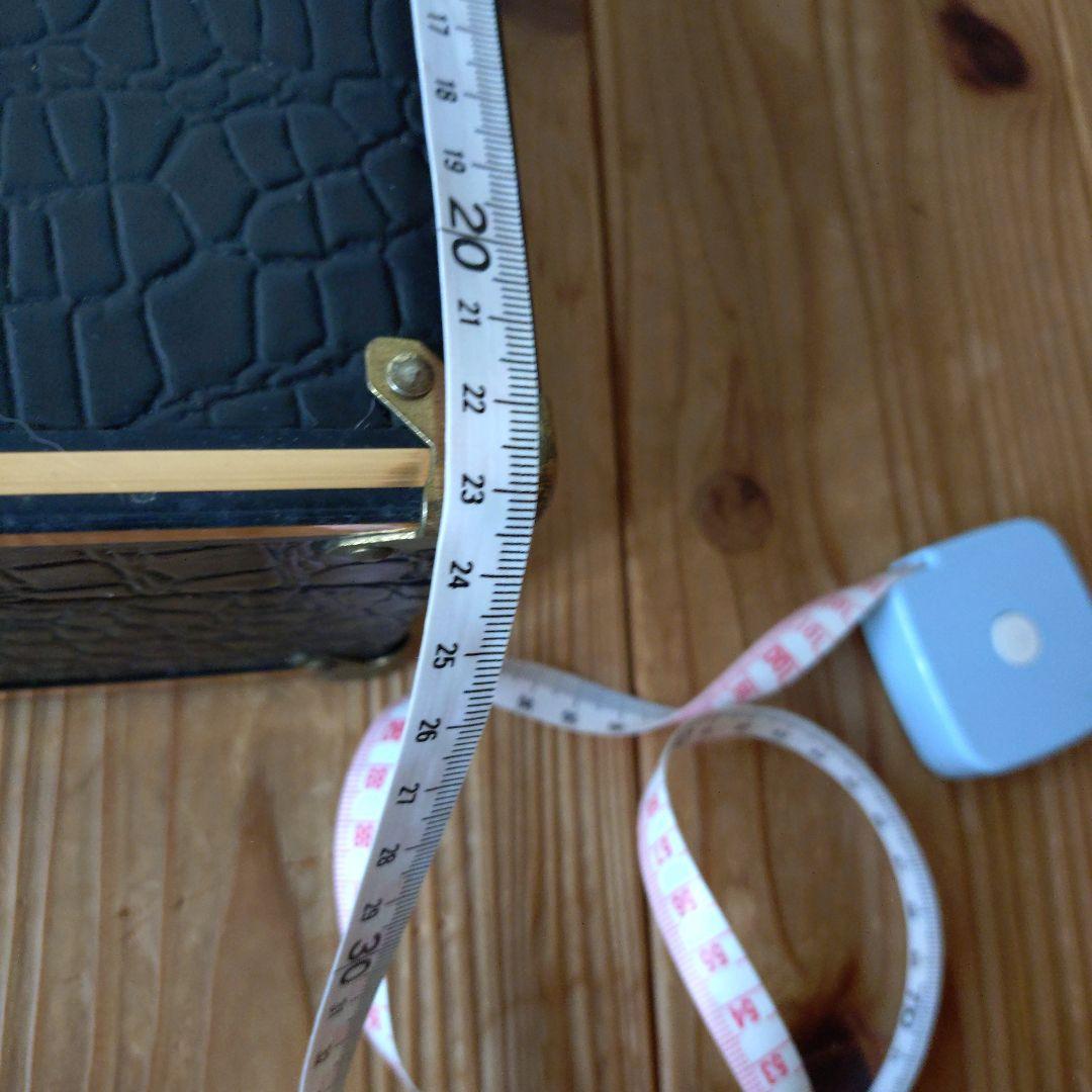 三線 本体 ヘビ皮製 バチ付き　ケース付き