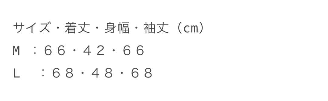 Vallad V.HENRY NECK L/S サーマル 白　Lサイズ　IO着用