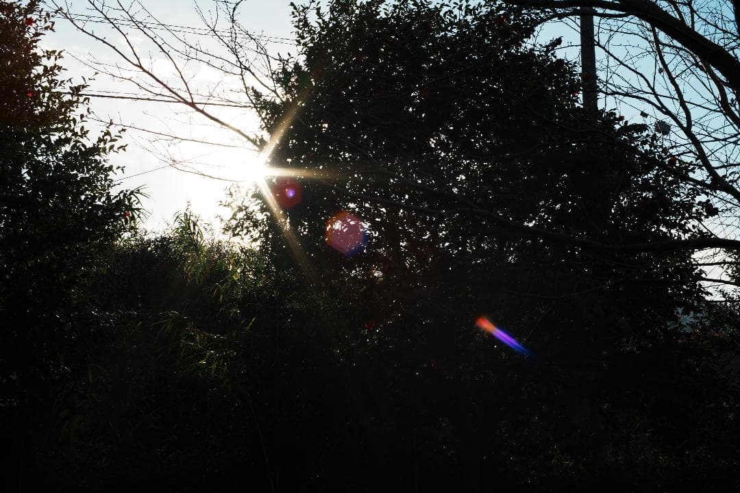 【バブルボケ】動作◎ ミノルタ New MD 50mm F1.4 309