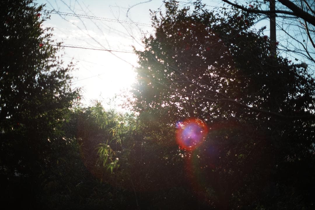 【バブルボケ】動作◎ ミノルタ New MD 50mm F1.4 309