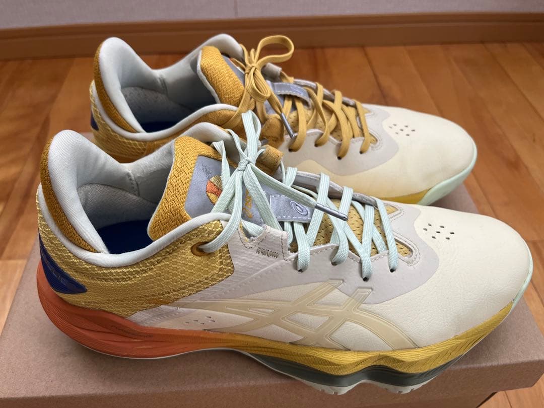 シューズ(男性用) asics nova surge low2 ballaholic 27.5