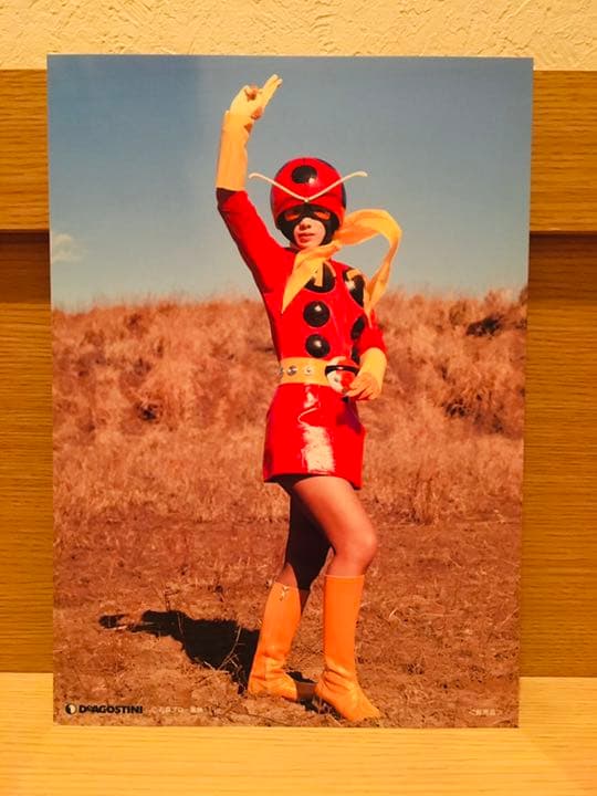 仮面ライダーオフィシャルデータファイル全巻バインダー付★非売品プロマイド5枚付★