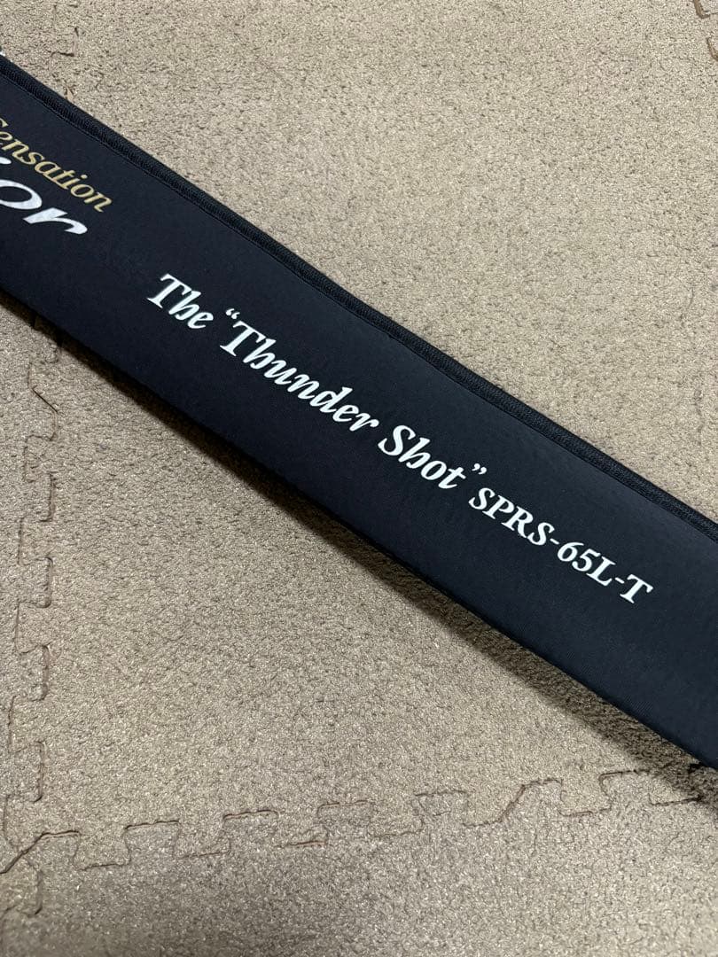 エバーグリーン ソルティーセンセーション スペリオル　サンダーショット65L-T