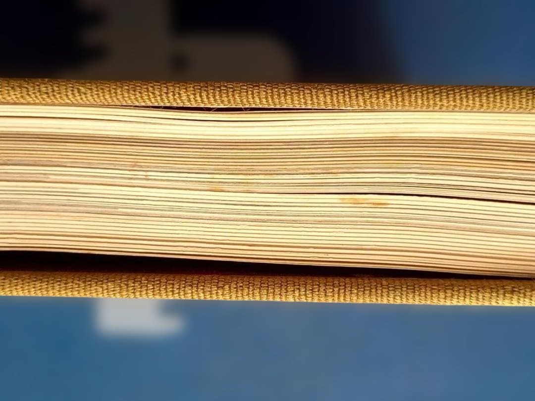 能 金子桂三 増田正造 毎日新聞社 大型本 昭和49年 定価35,000円